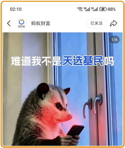 难道我不是天选基民吗